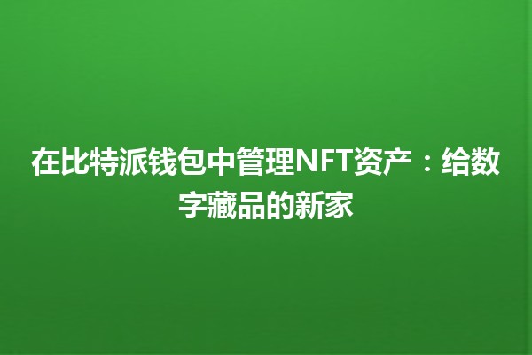 在比特派钱包中管理NFT资产：给数字藏品的新家