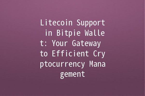 Litecoin Support in Bitpie Wallet: Your Gateway to Efficient Cryptocurrency Management 💰🚀