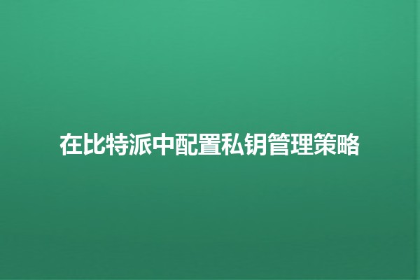 在比特派中配置私钥管理策略 🔑🚀