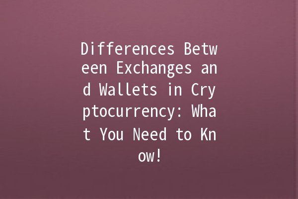 Differences Between Exchanges and Wallets in Cryptocurrency: What You Need to Know! 💰🔐